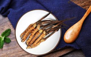 冬蟲(chóng)夏草有何藥用價(jià)值，蟲(chóng)草有啥子作用