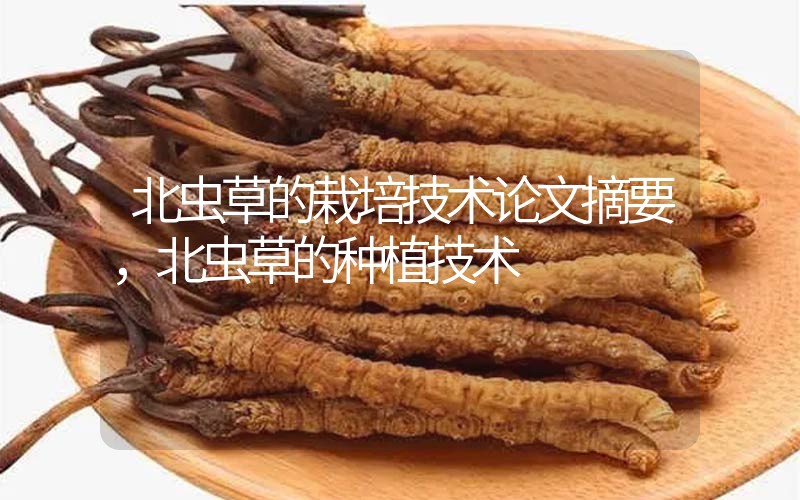 北蟲草的栽培技術論文摘要，北蟲草的種植技術