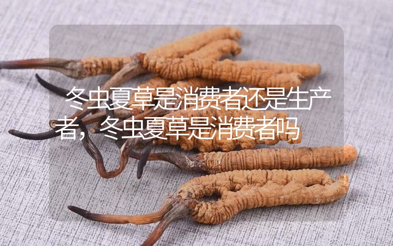 貧血吃冬蟲夏草有效果嗎，貧血虛弱者可以用冬蟲夏草嗎？