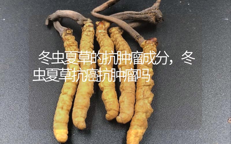 冬蟲夏草的抗腫瘤成分，冬蟲夏草抗癌抗腫瘤嗎？