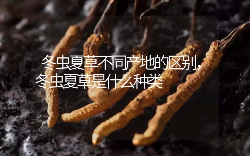 冬蟲(chóng)夏草不同產(chǎn)地的區(qū)別，冬蟲(chóng)夏草是什么種類(lèi)