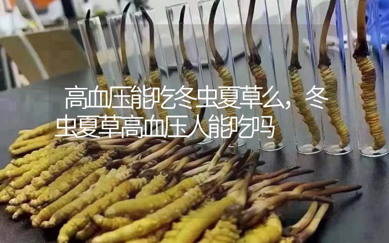 高血壓能吃冬蟲夏草么，冬蟲夏草高血壓人能吃嗎