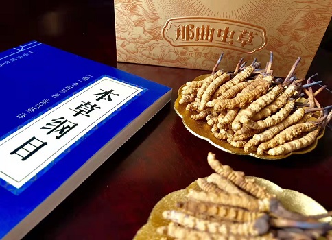 冬蟲(chóng)夏草真就那么好嗎？它的主要功能是什么呀