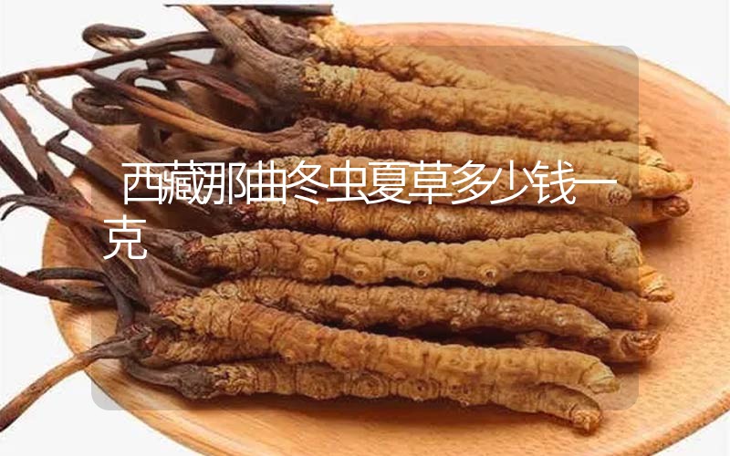 西藏那曲冬蟲夏草多少錢一克？
