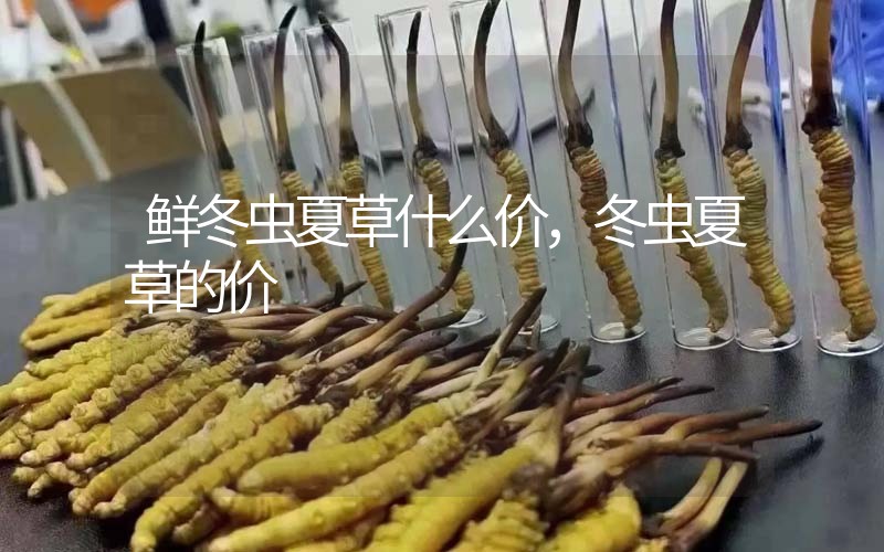 鮮冬蟲夏草什么價(jià)，冬蟲夏草的價(jià)格