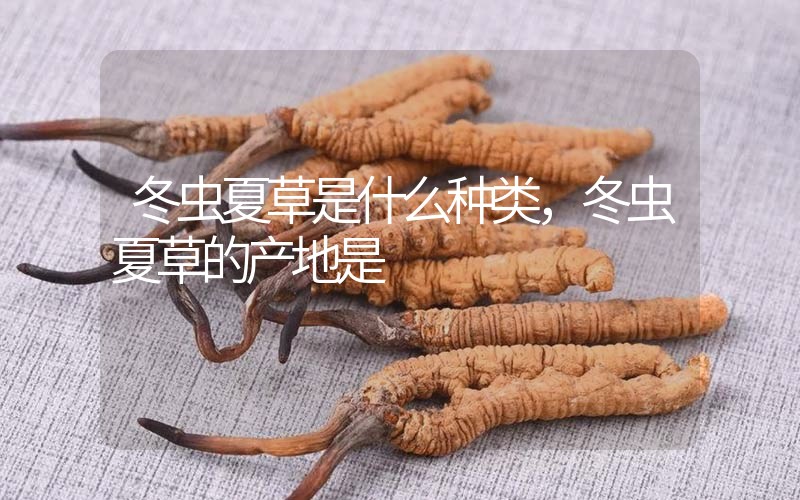冬蟲(chóng)夏草是什么種類(lèi)，冬蟲(chóng)夏草的產(chǎn)地是