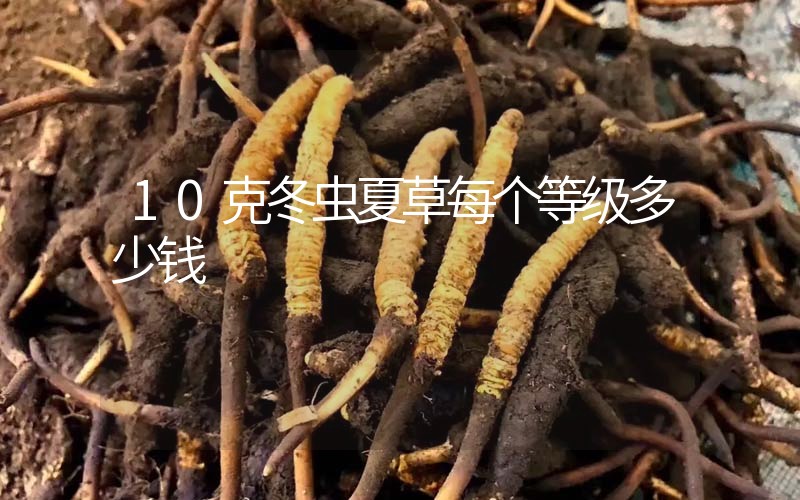 10克冬蟲夏草每個等級多少錢？