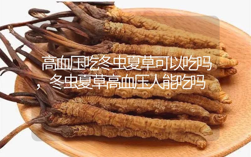 高血壓吃冬蟲夏草可以吃嗎？冬蟲夏草高血壓人能吃嗎？