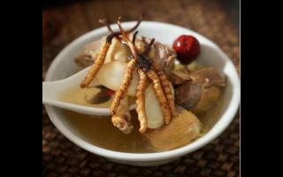 冬蟲(chóng)夏草為什么賣(mài)的貴？原因是什么？