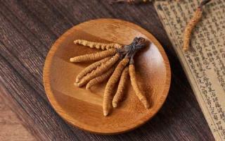冬蟲(chóng)夏草可以和蘑菇一起吃嗎？
