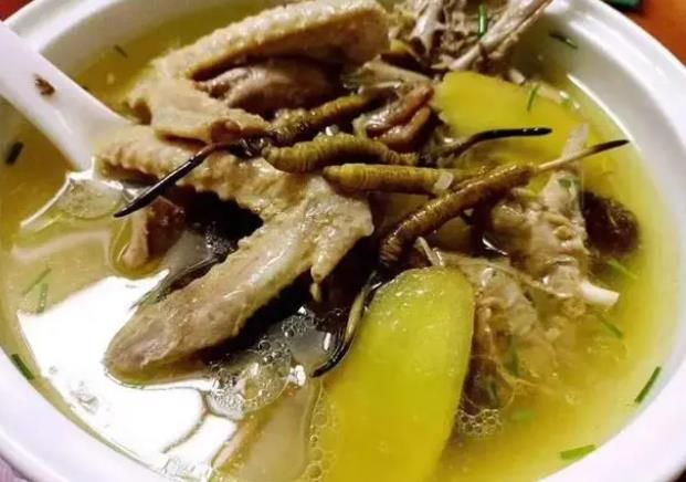 冬蟲夏草和哪些食材可以一起煲湯？