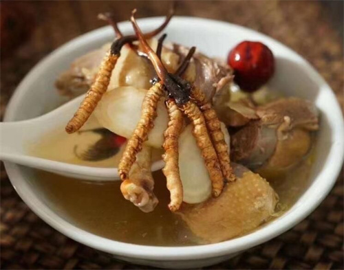 冬蟲夏草可以燉海鯽魚嗎？