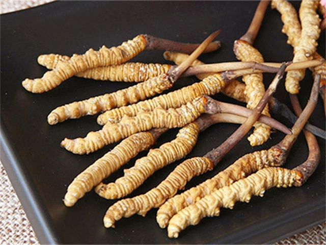 真的冬蟲夏草什么價(jià)格？影響冬蟲夏草價(jià)格波動(dòng)的3個(gè)關(guān)鍵因素