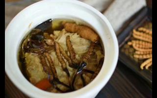 冬蟲夏草怎么食用？解鎖滋補養(yǎng)生的正確打開方式
