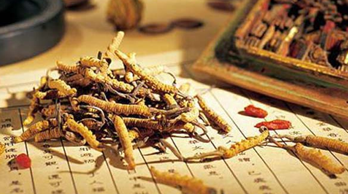 同仁堂健康冬蟲夏草：傳承品質，饋贈健康