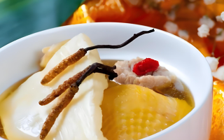 冬蟲夏草每天什么時(shí)候吃最好？一文詳解最佳食用時(shí)間