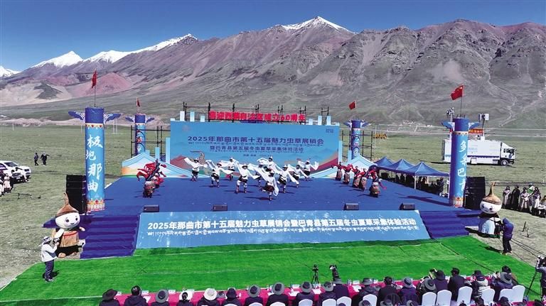 雪域高原迎盛會 蟲草之鄉(xiāng)展新顏——那曲市第十五屆魅力蟲草展銷會暨巴青縣第五屆冬蟲夏草采集體驗(yàn)活動(dòng)盛大開幕